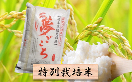特別栽培米 白米5kg 夢ごこち 岐阜県池田町 ふるさと納税サイト ふるなび