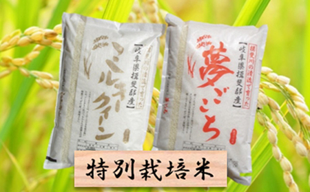 在庫処分 特別栽培米 白米10kg ミルキーク 米 雑穀 粉類 Ibssistemas Com Br