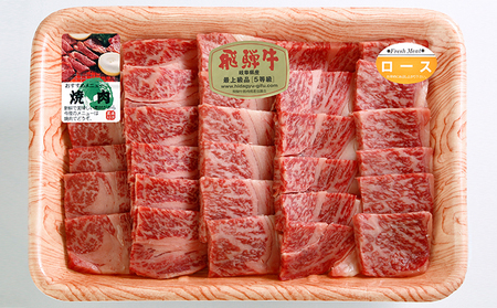 ふるさと納税　飛騨牛 牛肉 焼肉 ロース 500g×2 計1kg A5 和牛 