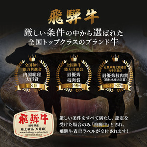 ふるさと納税 飛騨牛 牛肉 焼肉 ロース 600g A5 和牛