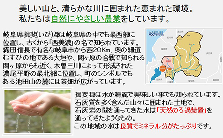 特別栽培米★[定期便] 6カ月★毎月 精米10kg（白米/7分/5分ツキ可）【ハツシモ】　玄米は別に出品 お米 令和7年産 幻のお米 大粒 アッサリ お寿司 丼物 炒め物 安心 安全 美味しい 