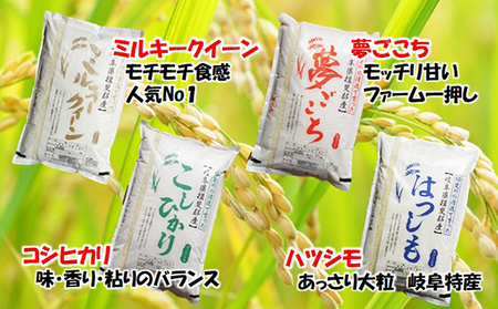 特別栽培米★[定期便] 6カ月★毎月 精米10kg または玄米11kg 【夢ごこち】
