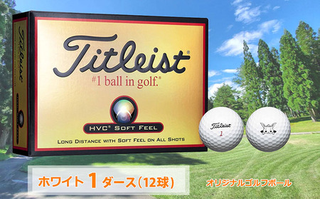 【新品】タイトリスト HVCソフトフィール4ダース ゴルフボール