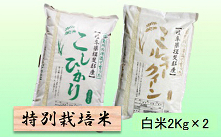 特別栽培米☆白米４kg 【コシヒカリ・ミルキークイーン】 | 岐阜県池田町 | ふるさと納税サイト「ふるなび」