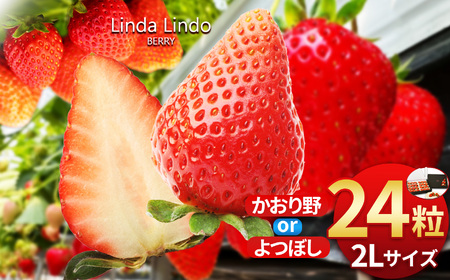 Linda Lindo BERRY 2Lサイズ 12粒x2 計24粒 | いちご かおり野 よつぼし