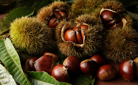 フランボワーズのギフト券 【500円件×６枚】