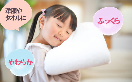 衣料用液体洗剤ウォッシュ柔軟剤プラス4L×4個セット