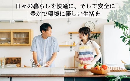 ランドリー洗剤・柔軟剤10個セット