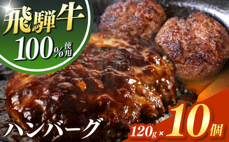 飛騨牛 100% ハンバーグ 120g 10個
