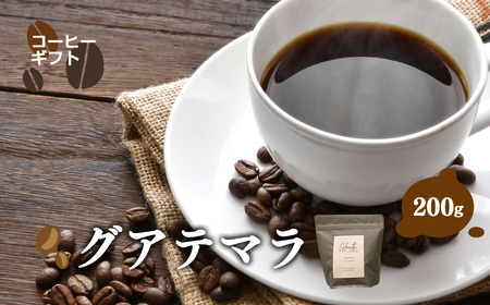 【 お試し 】 グアテマラ コーヒー ( 中細挽き ) 200g