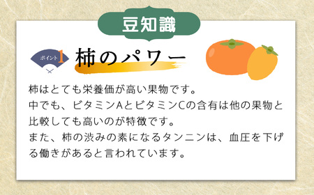 【贈答用】先行予約 令和8年11月中旬順次発送 富有柿 ( 2Lサイズ ・ 12個 ／ 3.5kg ) 1箱 | さのっち農園