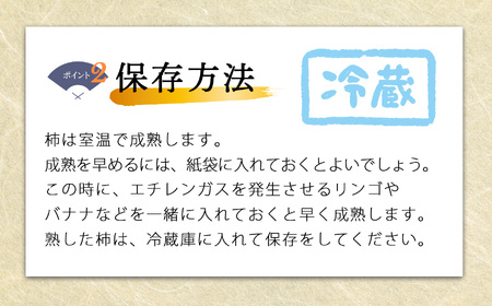 【贈答用】先行予約 令和8年11月中旬順次発送 富有柿 ( 2Lサイズ ・ 12個 ／ 3.5kg ) 1箱 | さのっち農園