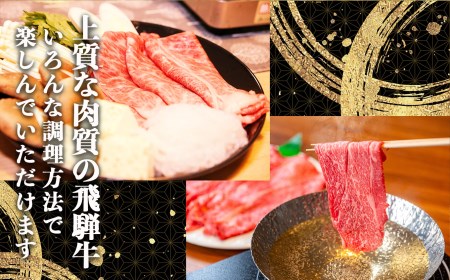 【定期便6回】飛騨牛 肩 赤身 4200g すき焼き用・しゃぶしゃぶ用