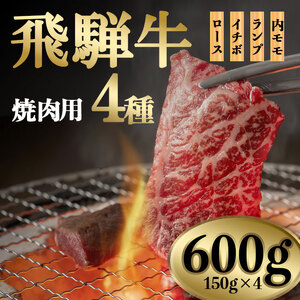 【おうち焼肉】飛騨牛 焼肉用　600ｇ