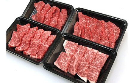 【定期便3回】北方町飛騨牛祭り ステーキ編