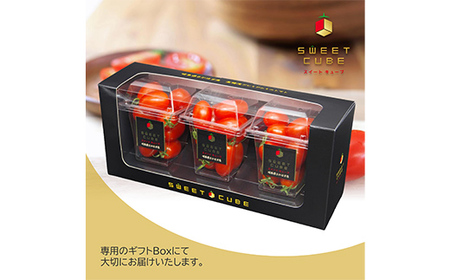 【2026年先行予約】高糖度 プレミアムミニトマト スイートキューブ エグゼクティブ 300g ≪2026年3月〜6月発送予定≫ さかほぎ農場 F6M-130