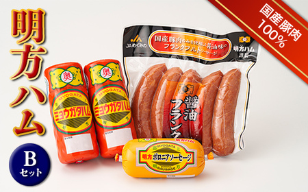 明方ハム Bセット ソーセージ ハム フランクフルト 詰め合わせ 計1320g 国産 豚肉  肉 食品 岐阜県 坂祝町 F6M-018