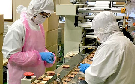 【若林煎餅】やわらか生煎餅 箱菓子 8個入×2箱セット せんべい お菓子  おせんべい 煎餅 お茶菓子 お茶請け おやつ 菓子 食品 岐阜県 坂祝町 F6M-119