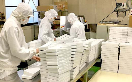 【若林煎餅】やわらか生煎餅 箱菓子 8個入×2箱セット せんべい お菓子  おせんべい 煎餅 お茶菓子 お茶請け おやつ 菓子 食品 岐阜県 坂祝町 F6M-119