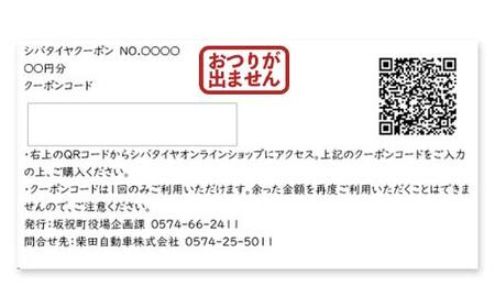 SHIBATIRE クーポン 3,000円分 シバタイヤ 柴田自動車 タイヤ チケット 商品券 ギフト プレゼント 岐阜県 坂祝町 さかほぎ F6M-276