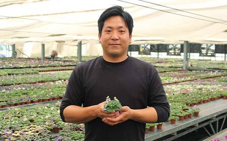 お部屋で楽しむセントポーリア5鉢セット(予約販売 2026年3月・4月にお届け) 花 はな 栽培 インテリア 岐阜県 坂祝町 さかほぎ F6M-295