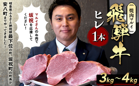 飛騨牛 ヒレ肉 ブロック A4～A5等級 1本 約3～4kg 3分割 ヒレ シャトーブリアン 肉 牛肉 ブランド牛 お肉 和牛 贅沢 お取り寄せ ご褒美 ステーキ 豪華 グルメ 焼肉 BBQ パーティー ギフト 贈り物 自家用 贈答用 焼肉マルイ 岐阜県 坂祝町 F6M-342