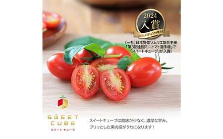 高糖度 プレミアムミニトマト スイートキューブ 1kg ≪2026年1月頃〜6月発送予定≫ さかほぎ農場 岐阜県 坂祝町 さかほぎ F6M-009