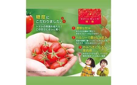 高糖度 プレミアムミニトマト スイートキューブ 1kg ≪2026年1月頃〜6月発送予定≫ さかほぎ農場 岐阜県 坂祝町 さかほぎ F6M-009
