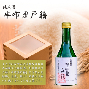 【9037】富加町の地酒「半布里戸籍」「睦鳥」「加治田城」三種飲み比べセットミニ