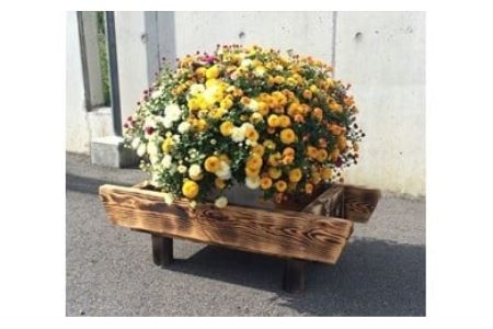 【30061】富加町産木曽杉ＢＯＸ（小）