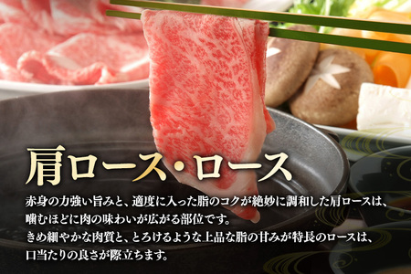 B-2 飛騨牛A5~4等級 500g しゃぶしゃぶ用(肩ロース・ロース)