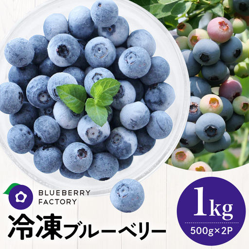 冷凍 ブルーベリー (真空パック保存) 1kg パック(500g×2) 日付指定可 A16-012