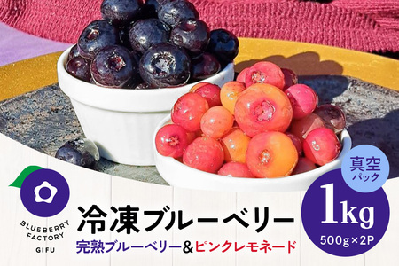 【希少品種食べ比べ】冷凍ブルーベリー ピンクレモネード＆大粒品種 1kgパック(500g×2)  日付指定可 A16-013