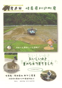 【数量限定】高橋さんのこだわり玄米10㎏（A-45）│玄米 米 お米 おこめ コメ