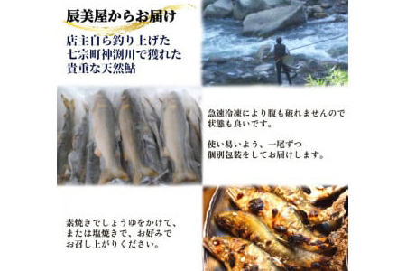 【2607-2137】※岐阜県産天然鮎七宗町産(18cm以上)