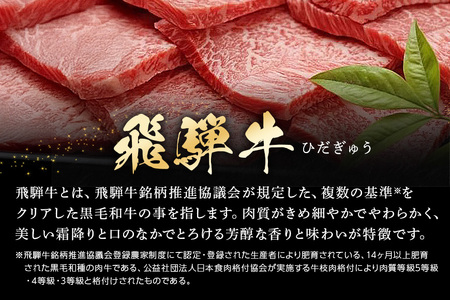 【冷蔵配送】A5飛騨牛モモ焼肉用【500g】着日指定可 牛肉 焼き肉 バーベキュー BBQ 霜降り 黒毛和牛 飛騨牛 おすすめ イチオシ