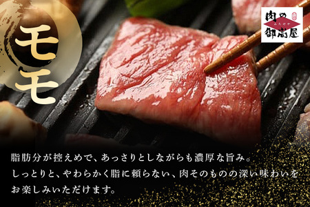 【冷蔵配送】A5飛騨牛モモ焼肉用【500g】着日指定可 牛肉 焼き肉 バーベキュー BBQ 霜降り 黒毛和牛 飛騨牛 おすすめ イチオシ