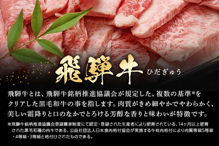 【冷蔵配送】A5飛騨牛カルビー焼肉用【500g】着日指定可 牛肉 焼き肉 バーベキュー BBQ 霜降り 黒毛和牛 飛騨牛 おすすめ イチオシ