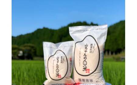 令和7年度産 農家直送「山ちゃんのお米」コシヒカリ5kg【10月1日発送開始】