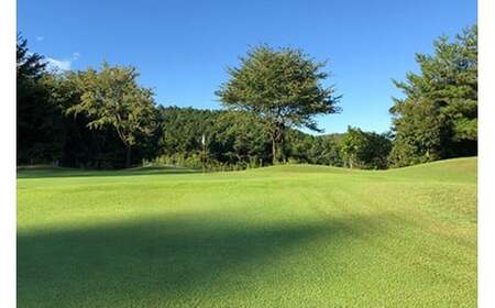 岐阜スプリングゴルフクラブ（ゴルフプレー割引券）