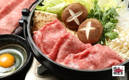 【冷蔵配送】飛騨牛食べ比べセット　3回　A4～A5・焼肉・しゃぶしゃぶ・すき焼き・牛肉