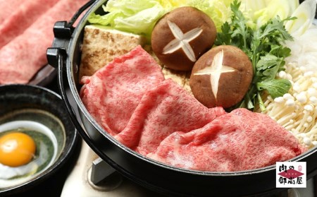 【冷蔵配送】飛騨牛食べ比べセット　6回　A4～A5・焼肉・しゃぶしゃぶ・すき焼き・牛肉