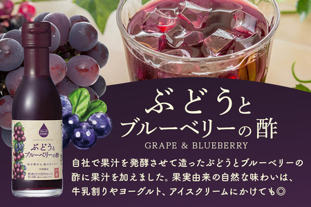 内堀醸造 フルーツビネガー飲み比べセット 360ml×2本 果実酢 有機