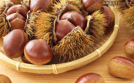 栗きんとん 12個入り （6個入り×2箱）白川町 / 松川屋[AWAD002] 栗 和菓子