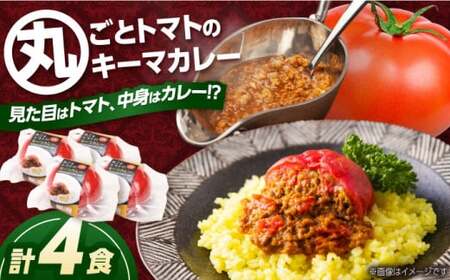 ＜buyer's room2023経済産業大臣賞を受賞＞丸ごとトマトのキーマカレー 4食 白川町 / 一力屋[AWAE001]