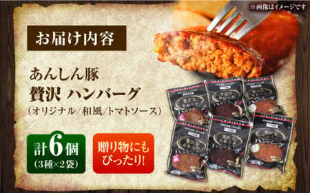 贅沢なやわらかハンバーグ 3種食べ比べ 計6個セット 白川町 / 一力屋[AWAE003]