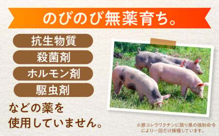 【2025年12月21日までのご入金で、年内発送】あんしん豚 極上セット 豚肉 ロース 国産 白川町 / 藤井ファーム[AWAF009]