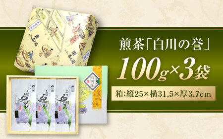 本格 高級茶セット 100g×3袋 化粧箱入り お茶 煎茶 白川茶 茶葉 ギフト 白川町 / 菊之園[AWAG008]