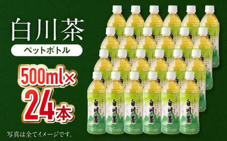 白川茶 500ml×24本入 緑茶 [AWAT001] ペットボトル ケース
