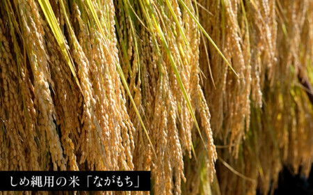 【年内発送】お山のしめ縄飾り 約40cm / Sunpo [AWBC002]